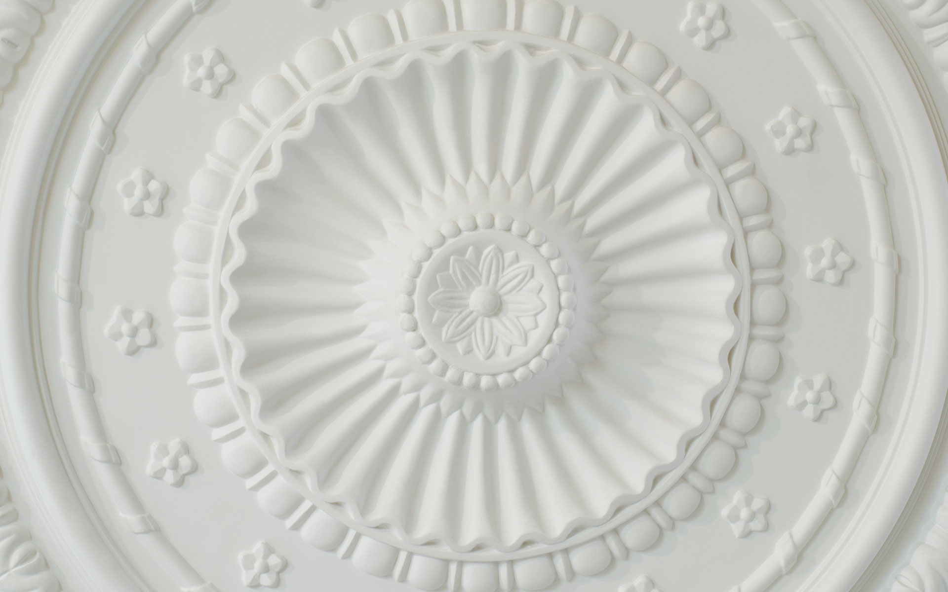 header-ceiling-rose